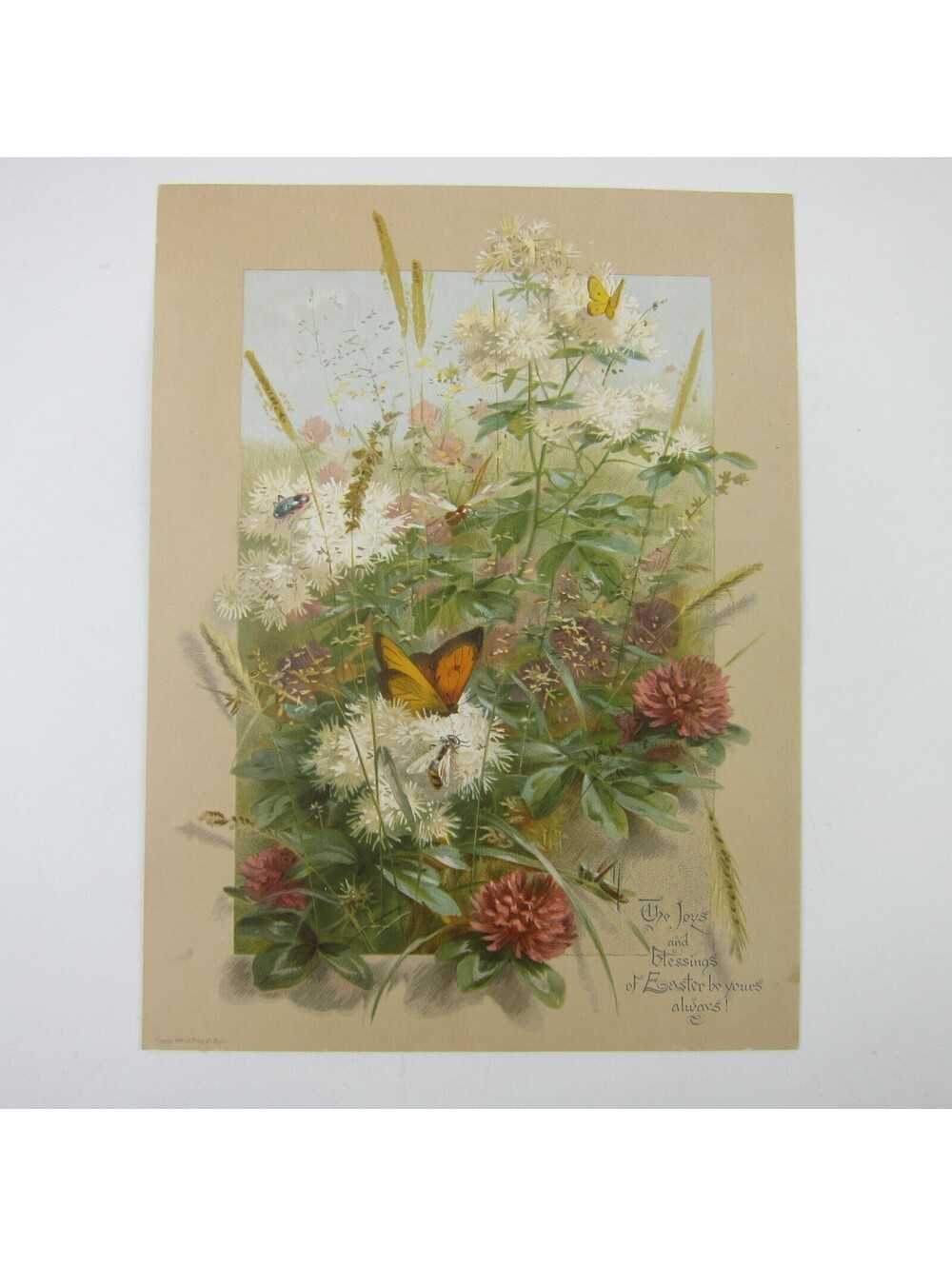 Victorian Easter Greeting Card Flowers Wheat Butterfly Grasshopper Antique 1884